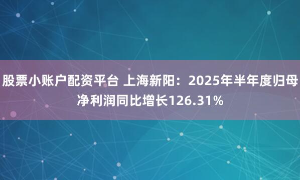 股票小账户配资平台 上海新阳：2025年半年度归母净利润同比增长126.31%